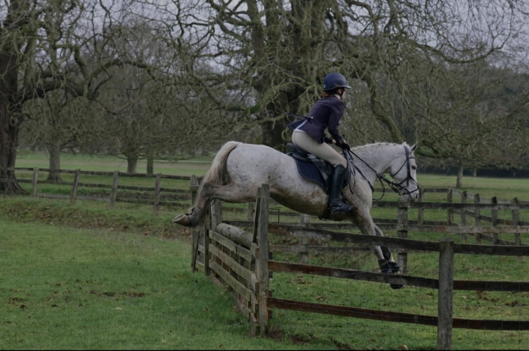 15hh, 12 year old Connemara Gelding