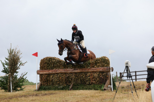 FABULOUS GRASSROOTS EVENTER - FANTASTIC TEMPERAMENT