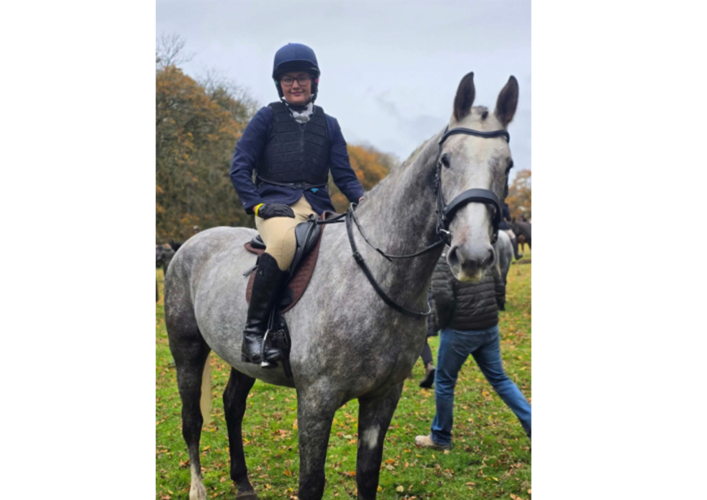 Young ID gelding