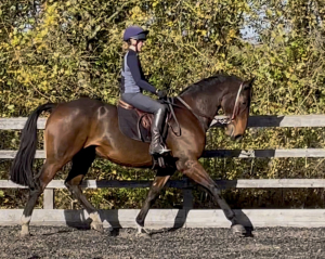 Talented Hunter and Allrounder