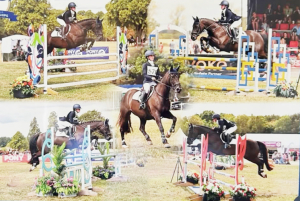 14.2 Showjumper & Mother's Dream - For Loan