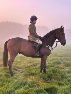 Quiet, Kind TB Hunter/all rounder