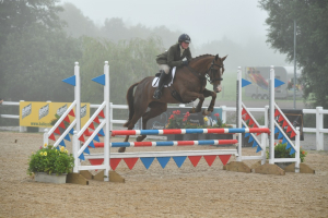 Talent young event horse/allrounder 