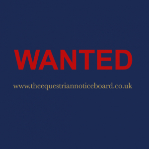 Wanted - mothers hunter / RC allrounder