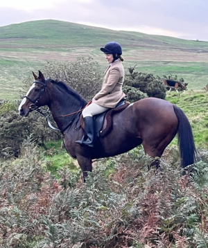 Lovely TB Mare Shanbally Rose for sale