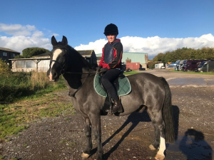 Outstanding 14.2hh Traditional Hunting Pony