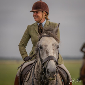 Gorgeous young hunter super all rounder 