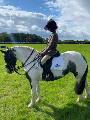 15hh - 16hh First Horse Wanted for tall, 13 year old