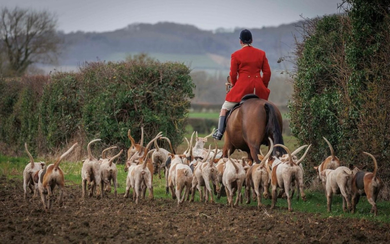 WANTED - STUD GROOM, THE NORTH COTSWOLD HUNT