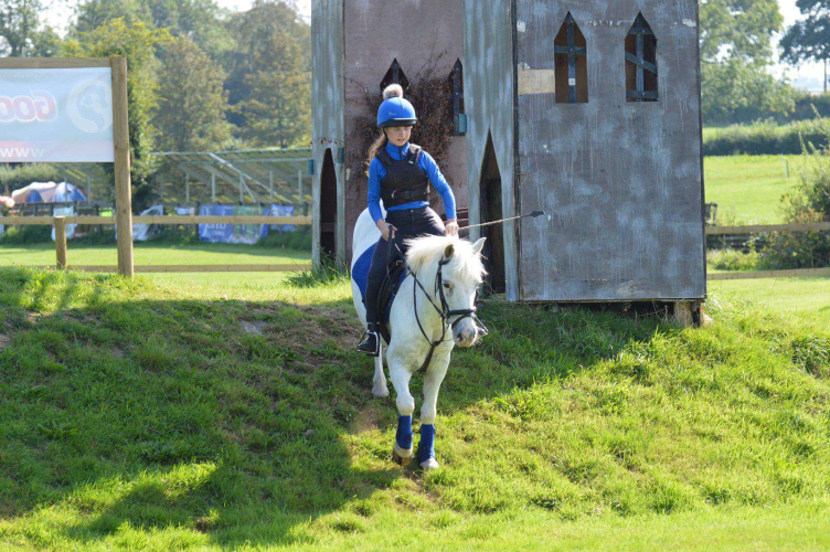 *SOLD* Superb 13.1hh Grey Family Pony Ponies For Sale & Wanted