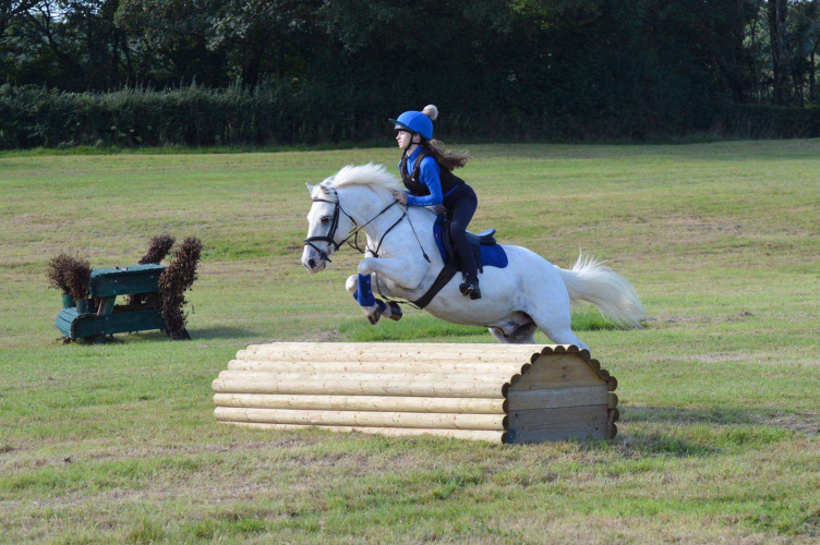 *SOLD* Superb 13.1hh Grey Family Pony Ponies For Sale & Wanted
