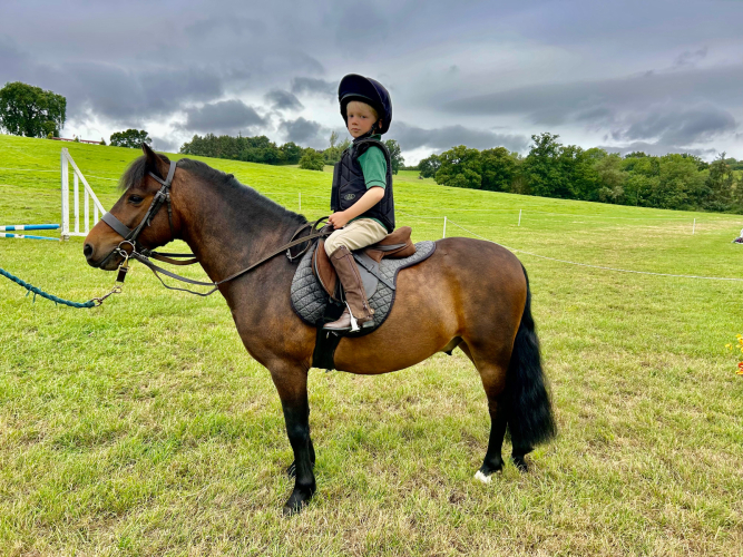 Lovely family lead rein pony Ponies For Sale & Wanted Oxfordshire
