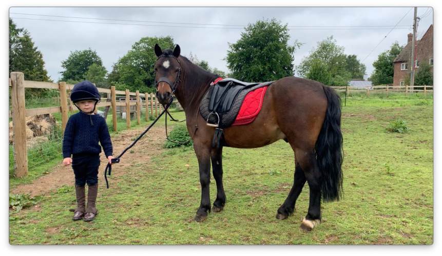 Lovely family lead rein pony Ponies For Sale & Wanted Oxfordshire
