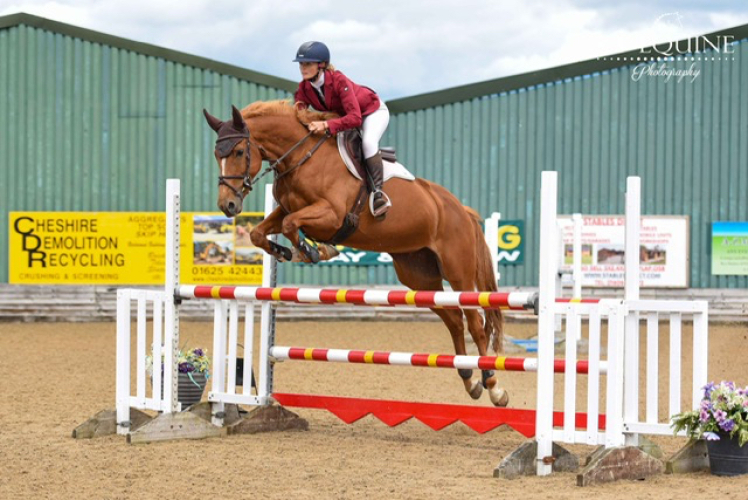 Smart Eventer /Jumper / Allrounder Horses For Sale & Wanted