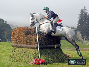 Eventing/Show Jumping Schoolmaster 