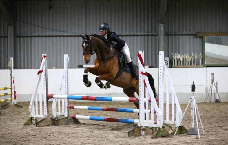 Sweetest Allrounder &/RoR horse for confident teen or Adult