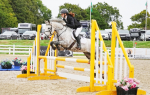 13.2 Connemara Pony
