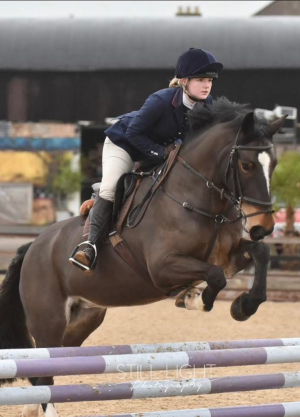 Hunting/allrounder cob. 