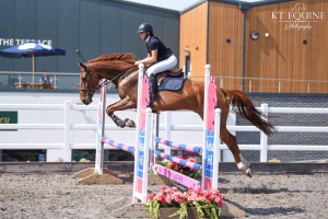 The Ultimate Grassroots Horse