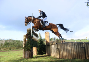 WANTED - Sunday Groom for Small Eventing/Breeding Yard - Lowesby, Leicester