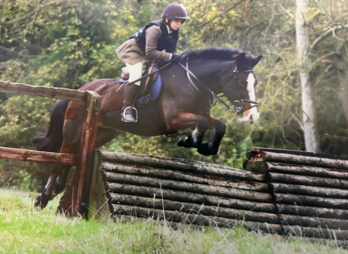 Super Safe Hunting All rounder Pony