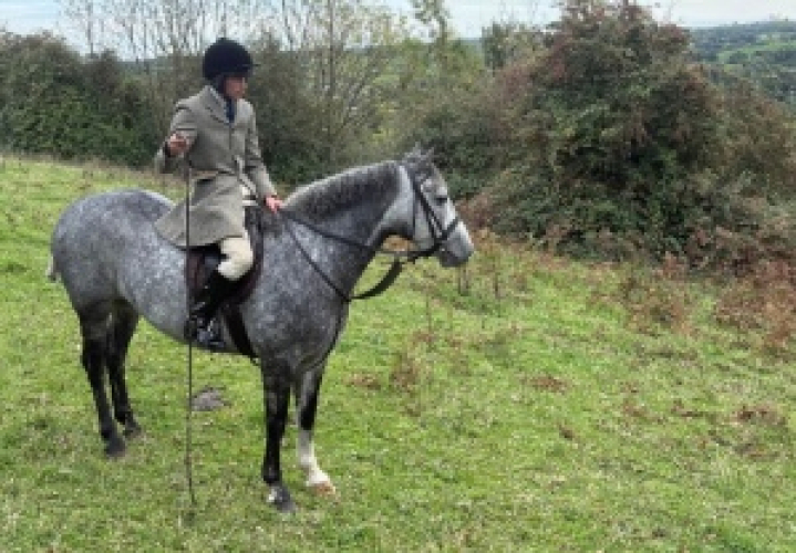 Top class young thrusters jumping / hunting machine