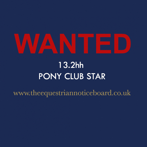 Wanted 13.2 (or thereabouts) PC star