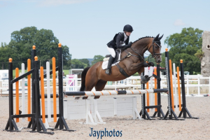 Handsome 16.2 Thoroughbred Allrounder