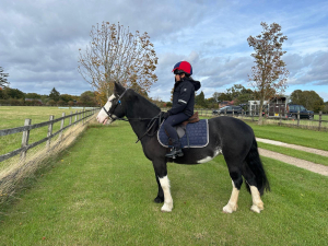 A PONY FOR THE WHOLE FAMILY 