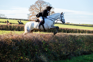 Experienced Hunter 17hh 13yo Grey ISH Gelding 