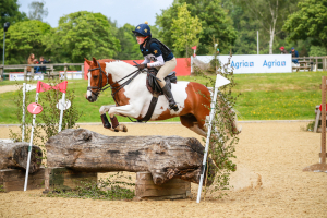 14.2 Pony Club / All Rounder / Schoolmaster 