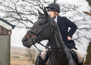 Pure quality allrounder 