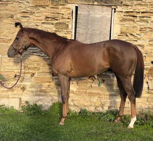 Beautiful ROR eligible youngster 