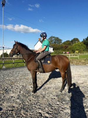 Lovely 6yo All-Rounder – Ideal PC/RC or Teen Moving Off Ponies