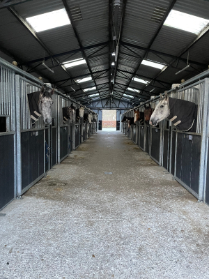 WANTED - Groom/Rider for a Hunting & Competition yard in Co.Wexford, Ireland