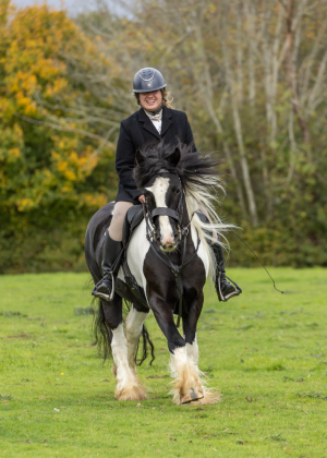 Super hunting cob or prospect for showing