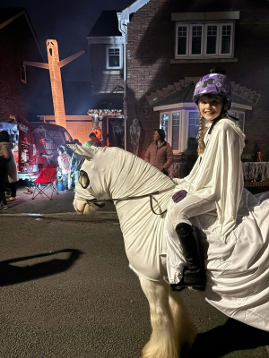 STRIKING COLOURED SKEWBALD MINI COB ALL ROUNDER