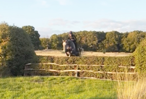 Top quality hunt prospect 