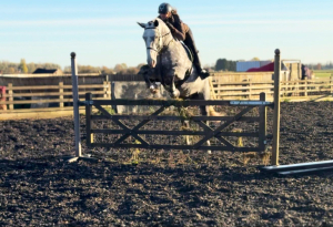 PERFECT HUNTER AND ANYONES RIDE 