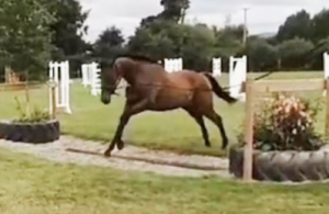 Lovely Kind Potential Event /SJ Gentleman 