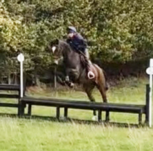 Allrounder/ Family friend/ Happy hacker!