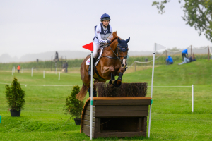 Experienced Home/ Competition Groom 