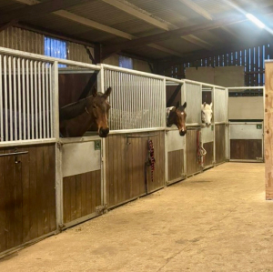 Spaces available on Private Yard