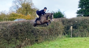 Proven Hunter / Quality Allrounder 