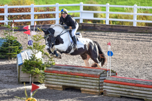 Oscar – The Cob That Can Do It All!
