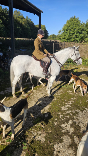 The ultimate versatile hunter and team chaser 