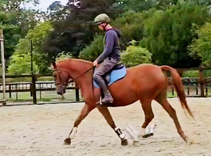 The most perfect filly in every way