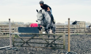 Head turning substantial hunter who crosses any country 