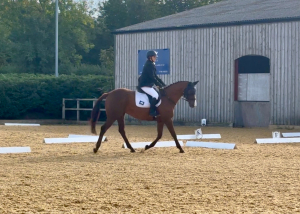 Exciting Young Competition Prospect With a big heart and bright future 