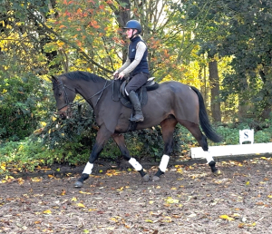 Lovely ROR allrounder  